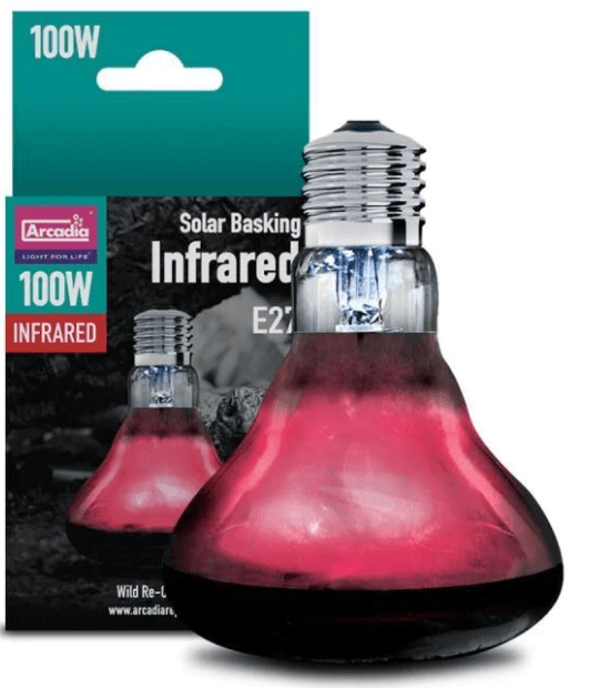 Arcadia Infrared 100W Reptile Heat Globe Jurassic Jungle