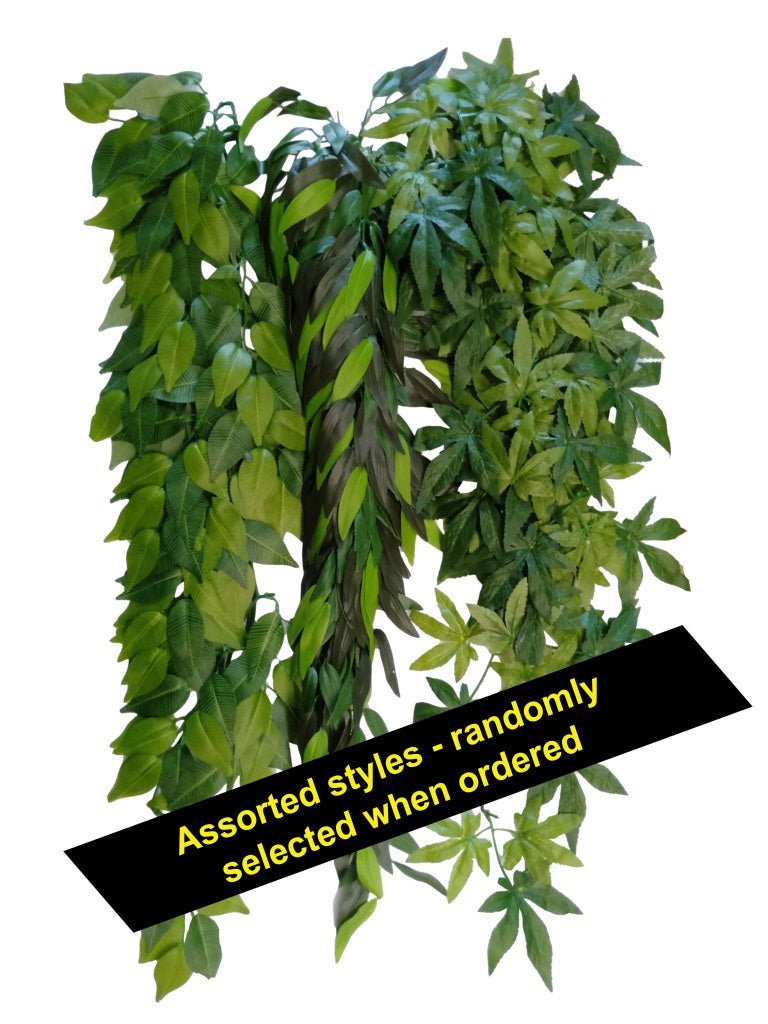 reptile hanging plants Reptile Hanging Plant