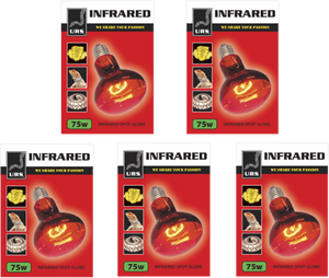 5 x 75w URS Infrared Lamp - Jurassic Jungle