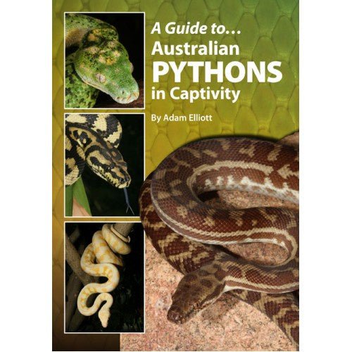 View of A Guide To Australian Pythons In Captivity – Jurassic Jungle
