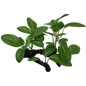 African Shade Leaf on Log 10cm - Jurassic Jungle