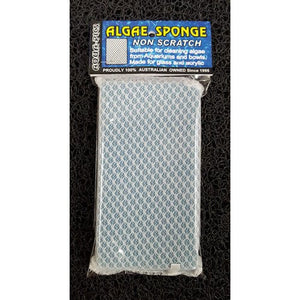 Algae sponge non-scratch - Jurassic Jungle