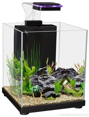 Betta Sanctuary Glass Aquarium 10L - Jurassic Jungle