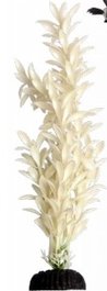 Reptile Aquarium Plant - Brightscape Medium 8inch Ludwigia White