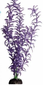 Brightscape Xlarge Ludwigia Purple 16inch - Jurassic Jungle