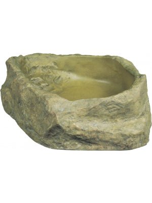 Exo Terra Water Dish Medium - Jurassic Jungle