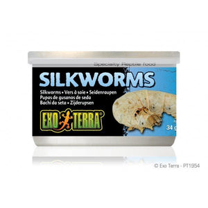 Exo-Terra Wild Silkworms Medium - 34gm (1.2 oz.) - Jurassic Jungle