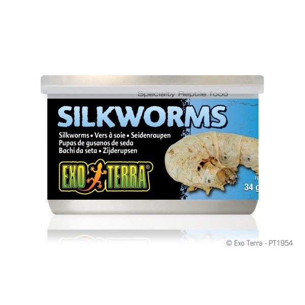 Exo-Terra Wild Silkworms Medium - 34gm (1.2 oz.)