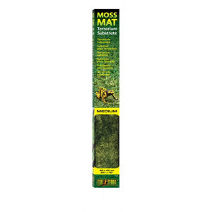 Forest Moss Mat Medium 45cm x 60cm - Jurassic Jungle