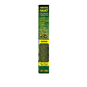 Forest Moss Mat Mini 30cm x 30cm - Jurassic Jungle