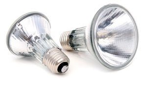 Halogen Basking Spot Light 100w - Jurassic Jungle