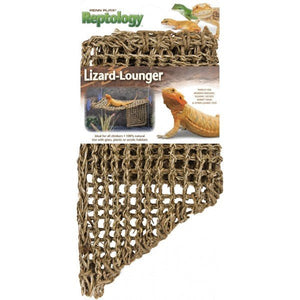 Lizard Loungers - Jurassic Jungle
