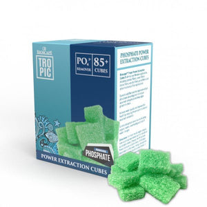 Phosphate Extraction Cubes - Jurassic Jungle