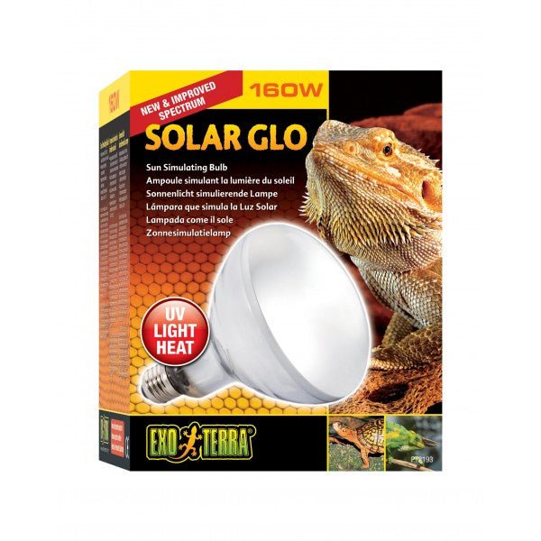 Solar store heat lamp