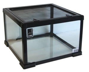 URS PeeWee Terrarium 45x45x30cm - Jurassic Jungle