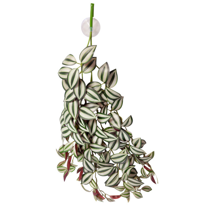 Reptile One Artificial Hanging Tradescantia Green Silver 70cm