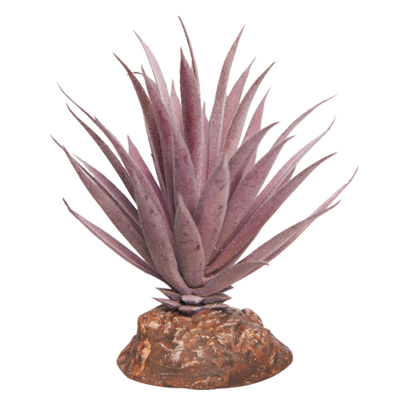 Reptile One Plant Mini Ionantha Red With Ceramic Base