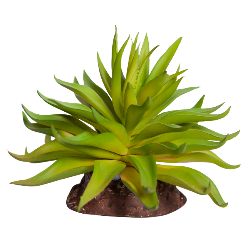 Reptile One Plant Mini Carpobrotus Green With Ceramic Base