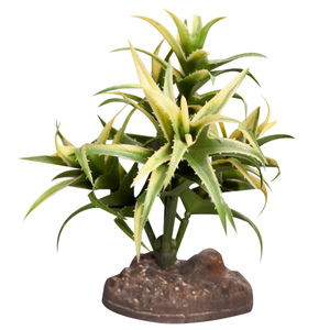 Reptile One Plant Small Flexuosa Green With Ceramic Base