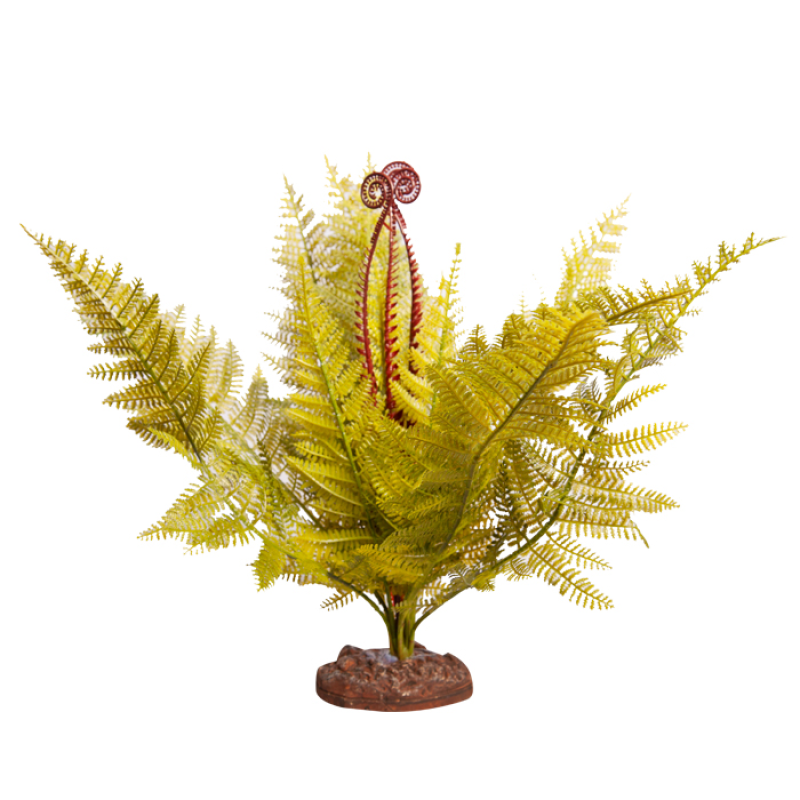 Reptile One Plant Large Eagle Fern Green With Ceramic Base