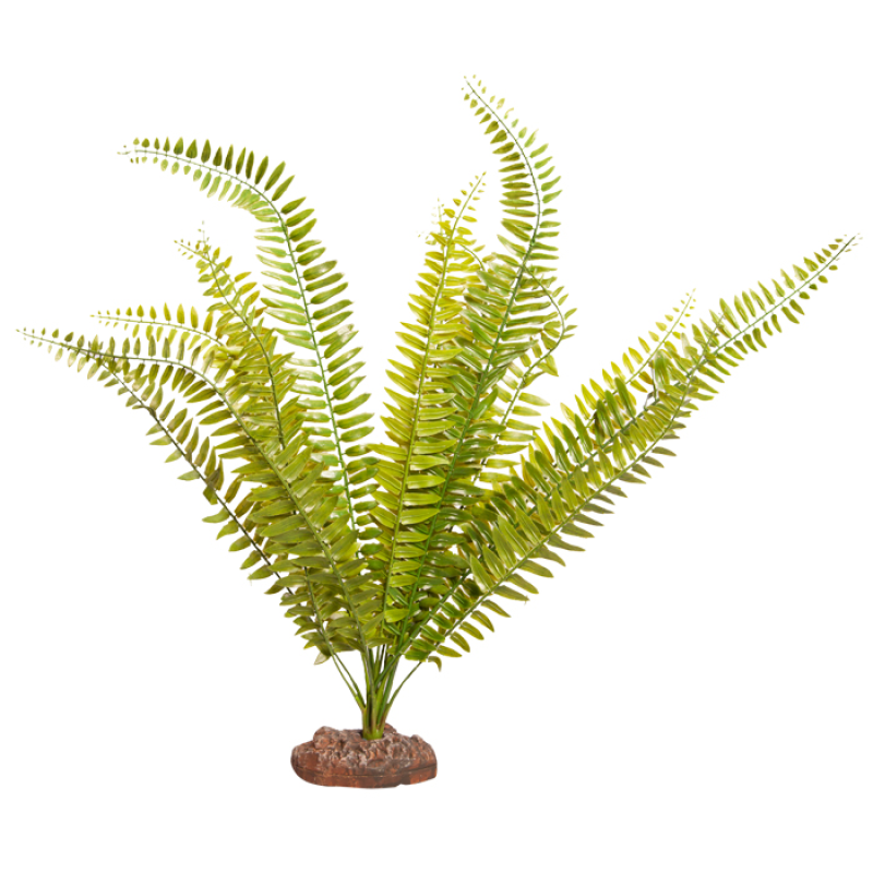 Reptile One Plant Large Fern Green With Ceramic Base