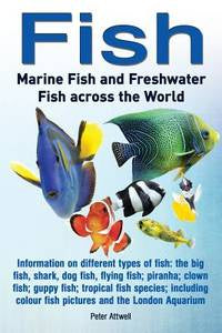Fish: Marine Fish and Freshwater Fish Across the World