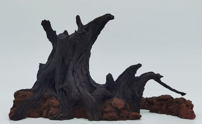 Banyan Lava Rock