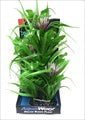 Deluxe Bunch Plants 22 inch