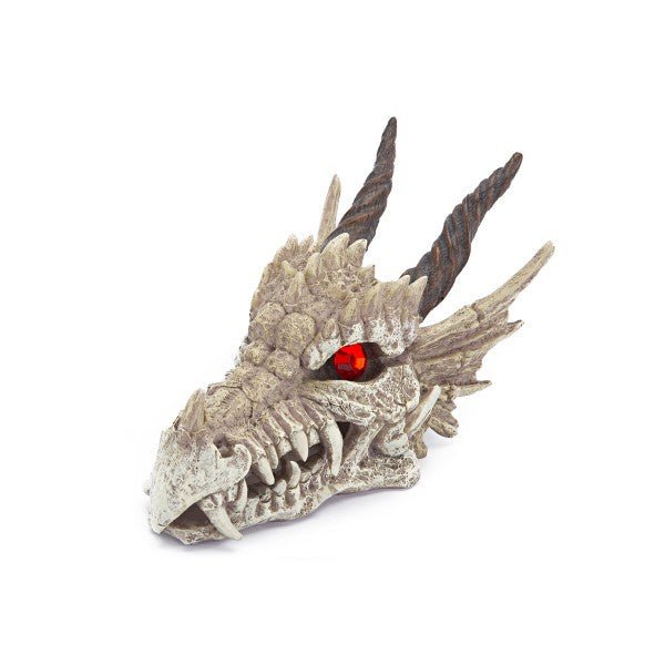 Dragon Skull Gazer 20cm L - Jurassic Jungle