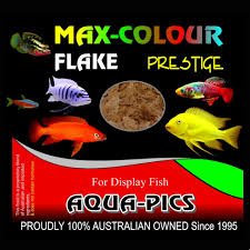 Flake Food Max Colour 100g - Jurassic Jungle