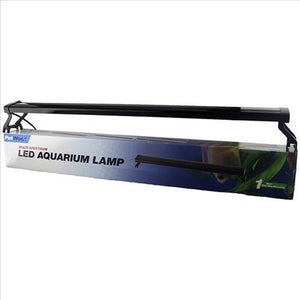 Petworx LED Lamp - Jurassic Jungle