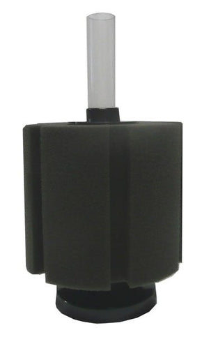 Petworx Sponge Filter Mini - Jurassic Jungle