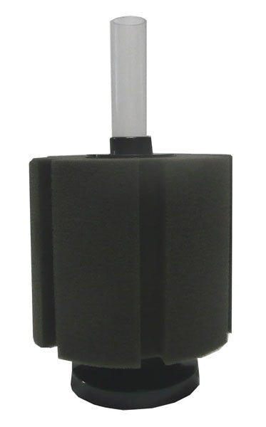 Petworx Sponge Filter Mini