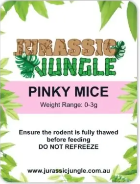 Frozen Mice (individual)