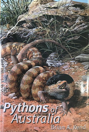 Pythons of Australia - Jurassic Jungle