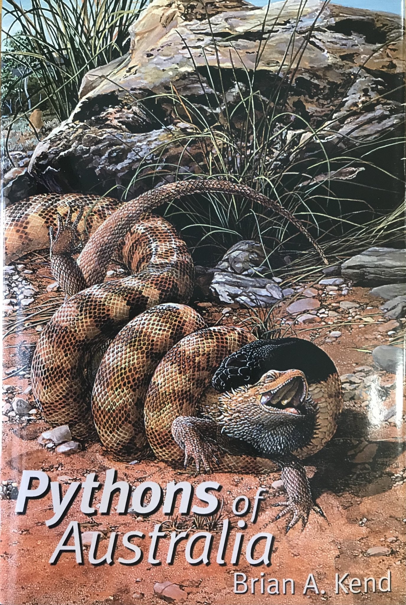 Pythons of Australia – Jurassic Jungle