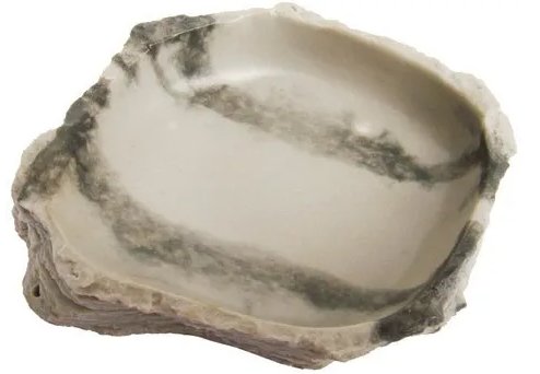 Reptile Dish Small - Jurassic Jungle