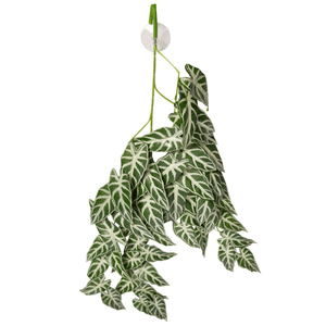 Reptile One Artificial Hanging Plant 70cm Alocasia Green With Suction Cup - Jurassic Jungle