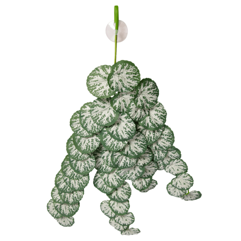 Reptile One Artificial Hanging Plant 70cm Brunnera Green Silver With Suction Cup - Jurassic Jungle