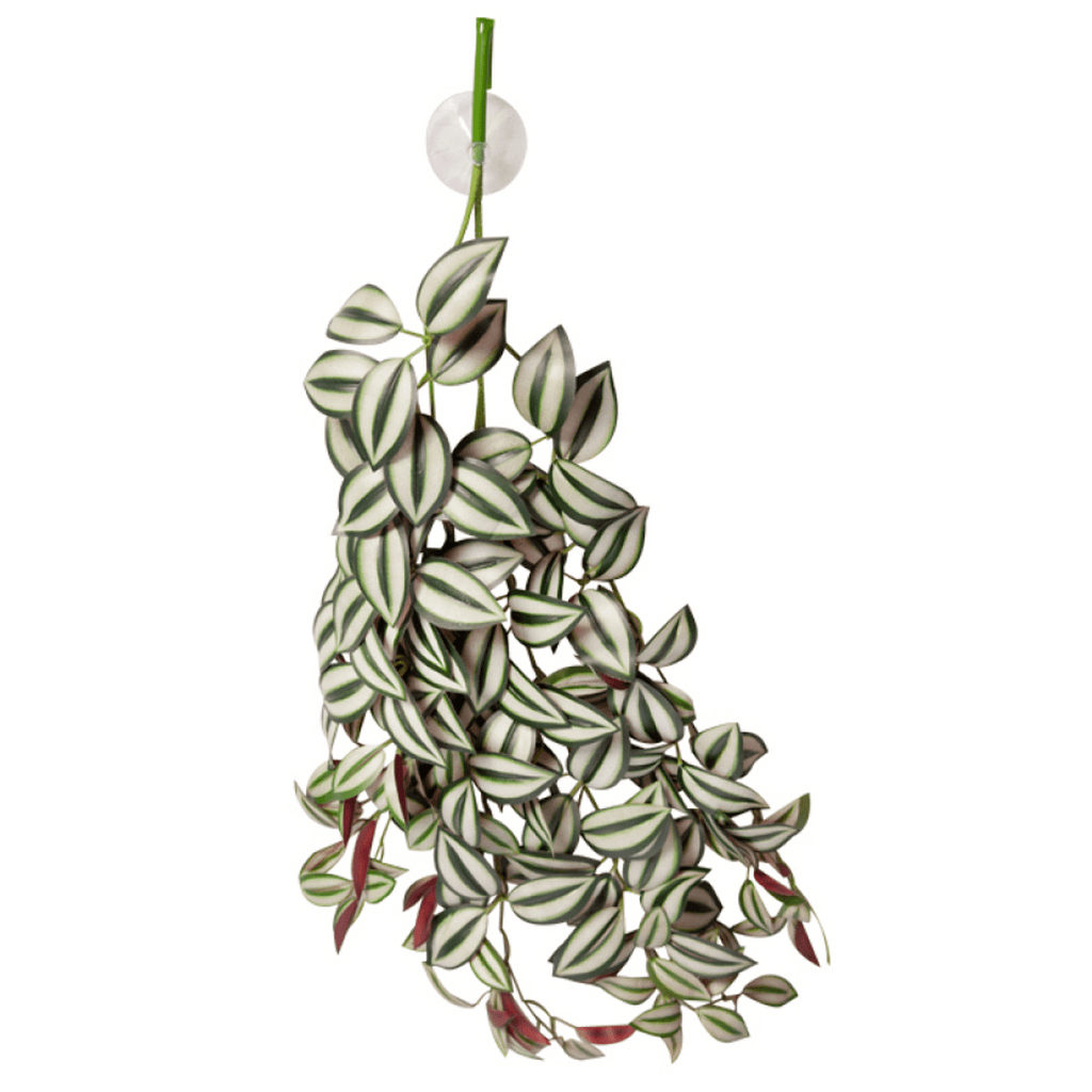 Reptile One Artificial Hanging Tradescantia Green Silver 70cm - Jurassic Jungle