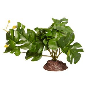 Reptile One Plant Medium Rhaphidophora Green With Ceramic Base - Jurassic Jungle