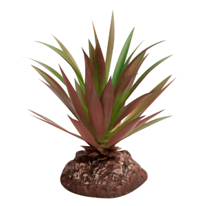 Reptile One Plant Mini Crassula Green Red With Ceramic Base - Jurassic Jungle