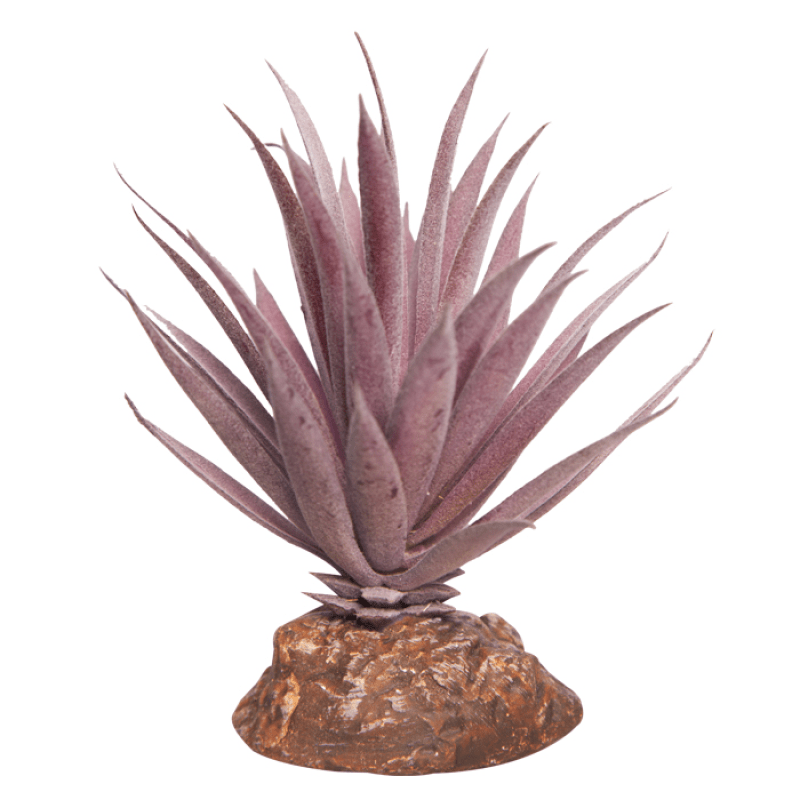 Reptile One Plant Mini Ionantha Red With Ceramic Base - Jurassic Jungle