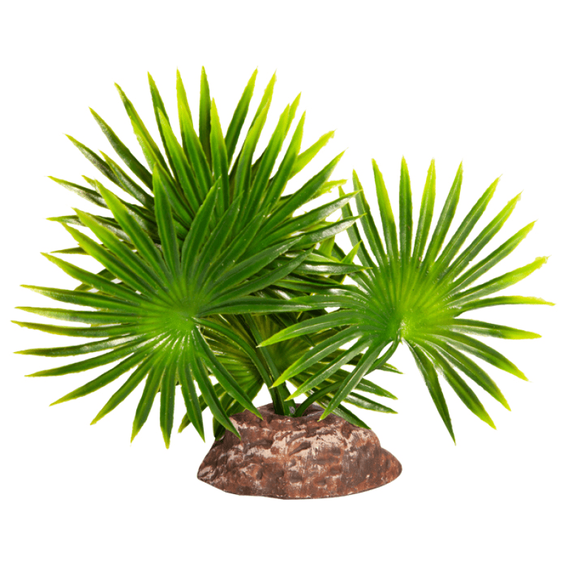 Reptile One Plant Small Fan Palm Green With Ceramic Base - Jurassic Jungle