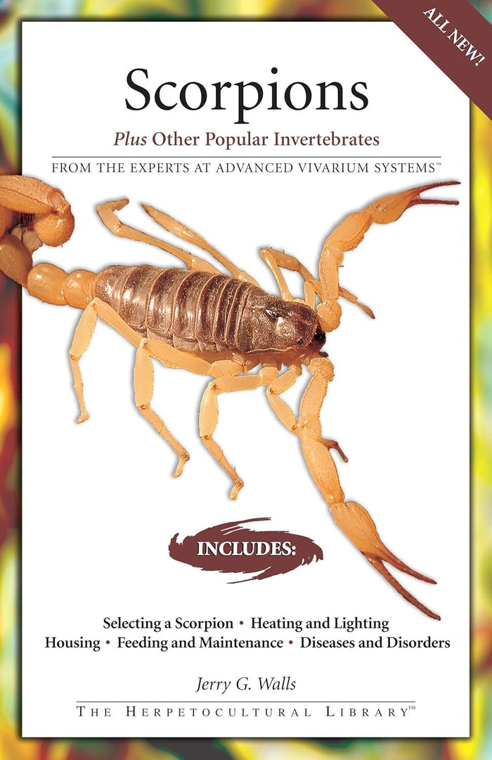 Scorpions: Plus Other Popular Invertebrates