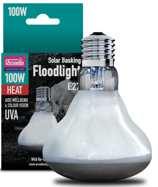 100w Arcadia Floodlight - Jurassic Jungle