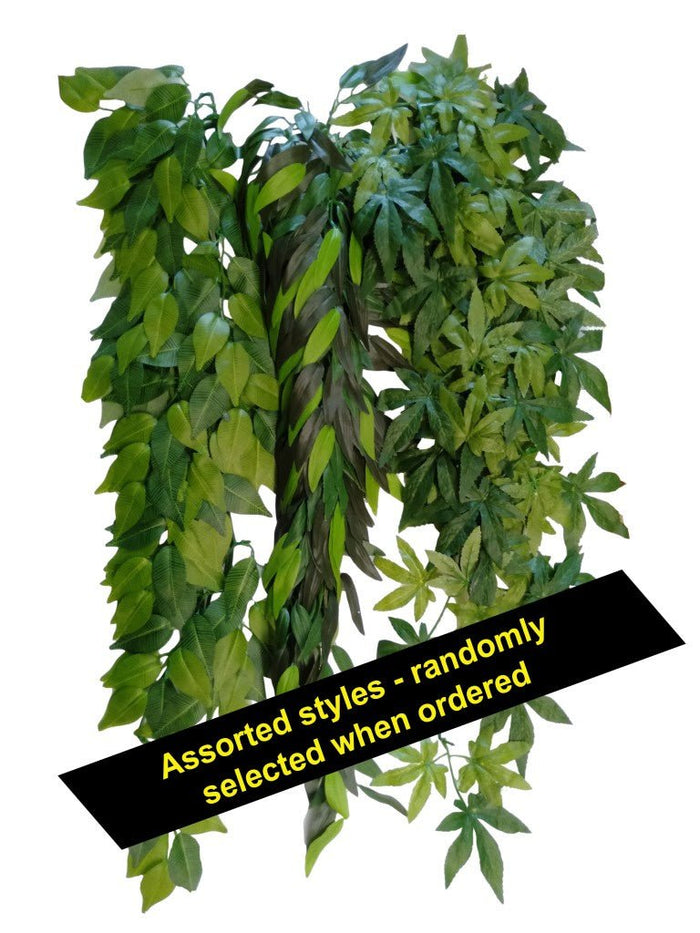 Reptile Hanging Plant - 28inch Jungle Plant