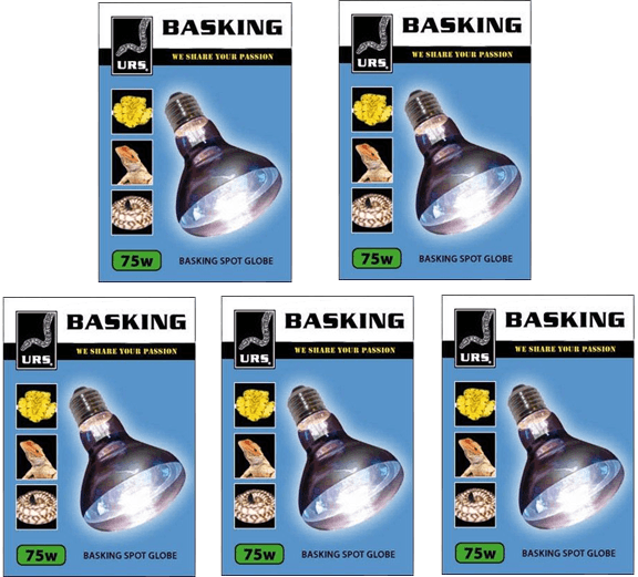 Bulk Pack Reptile Heat Globe - 5 x 75W URS Basking Lamp