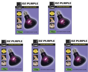 5 x 75w URS Oz Purple - Jurassic Jungle
