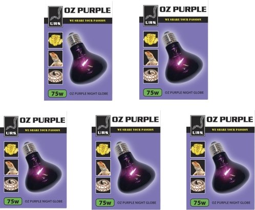 Bulk Pack Reptile Heat Globe - 5 x 75W URS Oz Purple